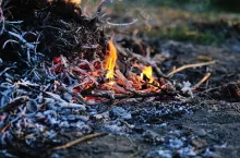 Bonfire in the forest