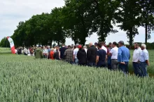 Podczas lustracji pól rolnicy najczęściej pytali o odmiany pszenic rekomendowane do opóźnionych siewów