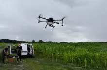 Dron w odpowiednich warunkach potrafi w ciągu godziny rozrzucić kapsułki z kruszynkiem na areale nawet 30 ha