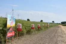 W swoich odmianach rzepaku Limagrain stosuje rozwiązanie ”Zdrowa Łodyga” jako pakiet ochrony dla najważniejszych chorób rzepaku. Został on opracowany w procesie hodowlanym