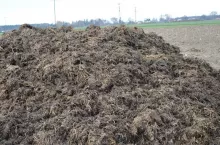 obornik