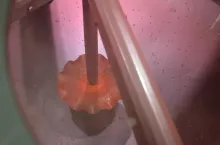 zaprawianie ziarna, zaprawa