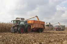 Zbiór kukurydzy na ziarno/archiwum redakcji