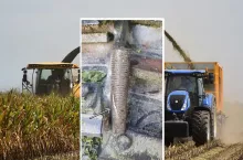 Zwyrodnialec zniszczył dwie sieczkarnie do kukurydzy.