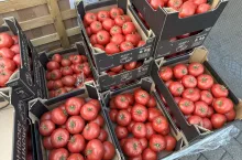 Krajowe pomidory w kartonach