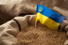 Burlap sack with wheat grains and Ukrainian flag concept