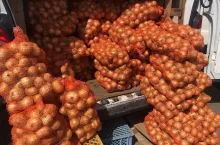 cebula żółta w workach