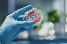 Close up Shot of a Lab-Grown Cultured Vegan Meat Sample Held by the Scientist in Blue Glove. Medical Scientist Working on Plant-Based Beef Substitute for Vegetarians in Modern Food Science Laboratory.