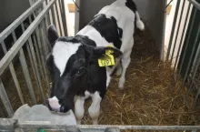 KE wycofuje się z Zielonego Ładu? Zaskakujące przecieki z Brukseli