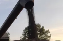 906963