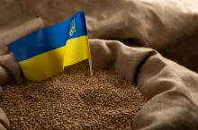 Nie tylko zboża. Polska nakłada embargo także na inne produkty z Ukrainy. Jakie?