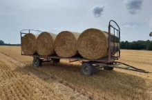 Jak rozliczyć wymiane słomy na obornik?