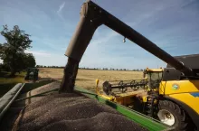 Jakie będą ceny rzepaku na koniec 2023 roku?