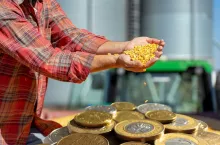 Rolnicy będą musieli złożyć nowe wnioski o dopłaty do zbóż i rzepaku?