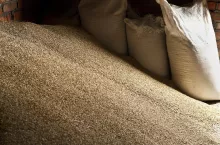 Wheat grains in sacks at mill storage, background