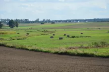 widok, krajobraz, lato wieś, pole