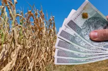 Pomoc suszowa: rolnicy muszą być czujni przy zgłaszaniu suszy w aplikacji