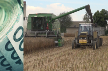 Dopłaty do zbóż i oleistych