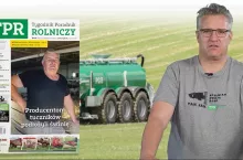 W nowym TPR: kto podłożył świnie producentom tuczników z Wielkopolski?