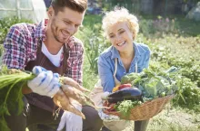 Young farmers on the field