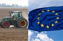 Czy Polska powinna wyjść z UE?