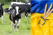 Komentarz naczelnego