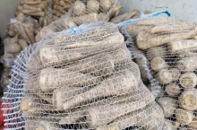 Pietruszka w workach