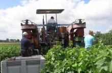 2500 zł do hektara: ARiMR już przyjmuje wnioski. POBIERZ wniosek i instrukcję