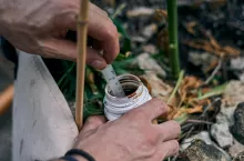 Nawożenie gleby jesienią w ogrodzie