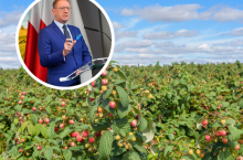 Rolnicy karczują plantacje. Czy 2,5 tys. zł dopłaty do hektara ich zbawi?