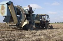 pomocnik rolnika, zasady, legalny pobyt