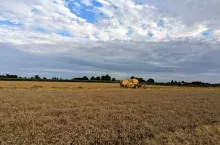 kombajn zboże żniwa