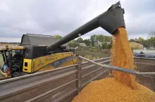 200 zł dopłaty dopłaty do mokrej kukurydzy. Dla kogo? Pobierz WNIOSEK