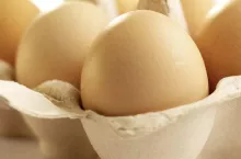 eggs