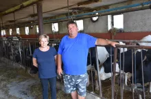 – W poprzednim roku było ogromne zainteresowania jałówkami hodowlanymi, kiedy ceny mleka były wysokie, wielu hodowców powiększało produkcję. Gdy ceny spadły, to sprzedaż jałówek stanęła – stwierdził rolnik.