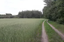 Czy sąsiad może żądać od rolnika drogi koniecznej? Jakie jest wynagrodzenie za przejazd?