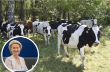 Zielony Ład trafił do zamrażarki