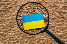 Potential food crisis caused by the war in Ukraine. Concept