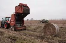 Zbiór marcowy po deszczach i zimowym mrozie znacznie ułatwia obróbkę włókna