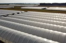 Tunele warzywnicze w słońcu