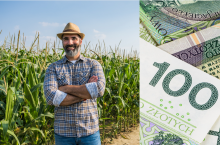 Dopłaty bezpośrednie