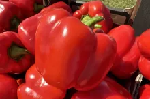 Polska papryka w kartonach