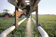 Zbieranie stonki i wyrywanie chwastów? Rolników czeka drastyczna redukcja stosowania pestycydów