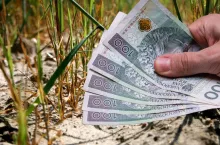 Aplikacja suszowa znów nie działa poprawnie. 