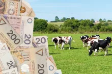 Limit pomocy de minimis w rolnictwie na 2023 r. wyczerpany. Co to oznacza dla rolników?