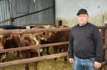 Nie ma idealnego bydła do opasu, ale gdyby było, to zdaniem Romana Przepióry, cechowałoby się wybiciem limousina i przyrostami simentala. Zatem na pewno bliska ideału okazałaby się krzyżówka tych dwóch ras.