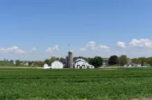Na początku roku polska branża mleczarska zaczęła zwalniać w obszarze inwestycyjnym. Jest to jeden z największych obecnie problemów w produkcji mleka.