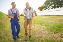 Experienced farmers on the field