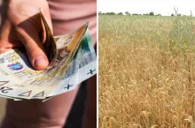 Pomoc suszowa 2023. Kiedy rolnicy dostaną pieniądze?