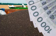 Dopłaty do zbóż i rzepaku: tysiące rolników może nie dostać pieniędzy. Czasu jest coraz mniej!